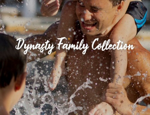 Dynasty Party Family Spas Hot Tubs