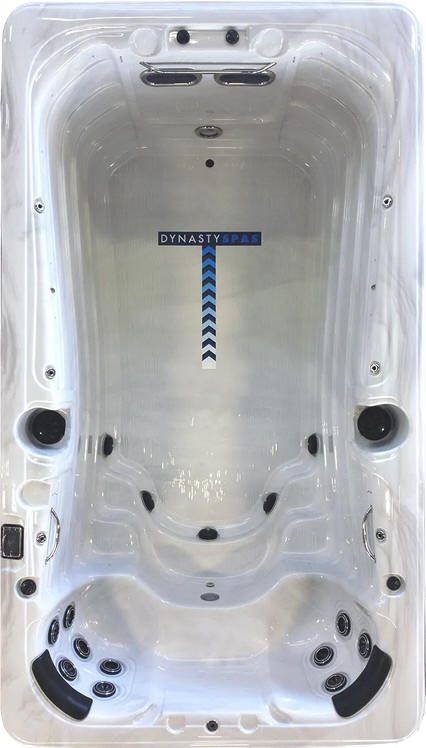 Dynasty Swim Spa 13ft Aquex Pro