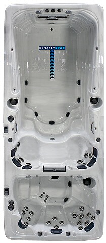 19' Aquex Dual Pro Swim Spa